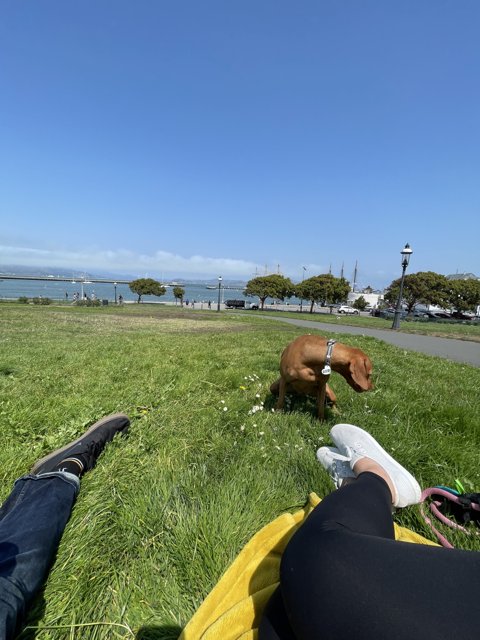 A Relaxing Day at San Francisco Maritime National Historical Park