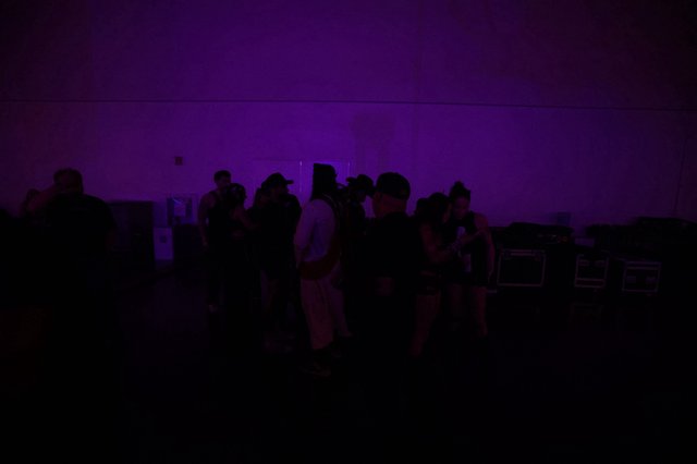 Silhouettes Gather Under Purple Haze at Wobbleland