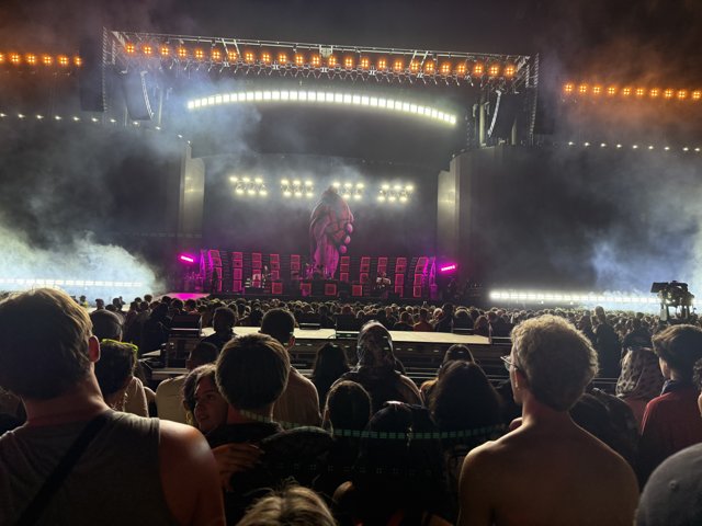 Electric Vibes Under the Lights