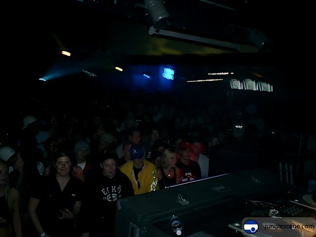 Nightclub Concert Featuring DJ and Crowd