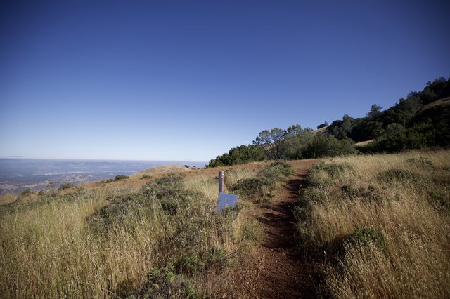 Golden Ridge Trail Winding Through Mount Diablo