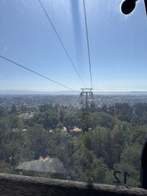 Skyward Journey Over Oakland's Green Wilderness