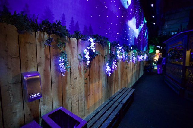 Enchanted Winter Garden with Purple LED Lights and Wooden Fence