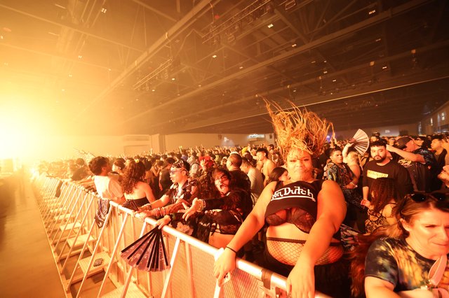 Electric Crowd Energy at Wobbleland Festival 2026