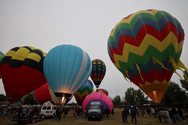 Colorful Hot Air Balloons Fill Morning Sky at Festival