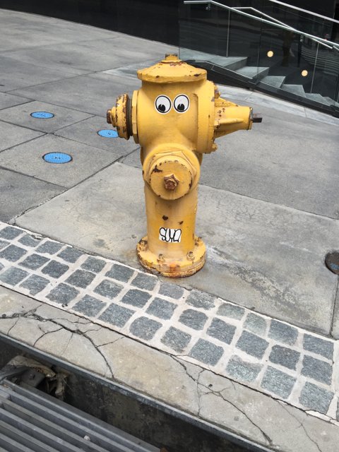 Watchful Hydrant