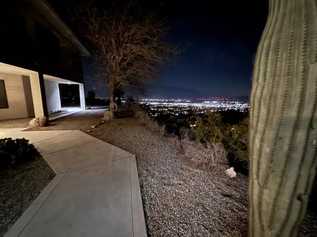 Desert Nightscape Serenity