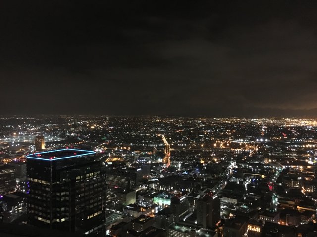 A Bird's Eye View of LA at Night