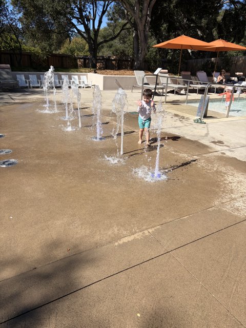 Joyful Splash in Carmel