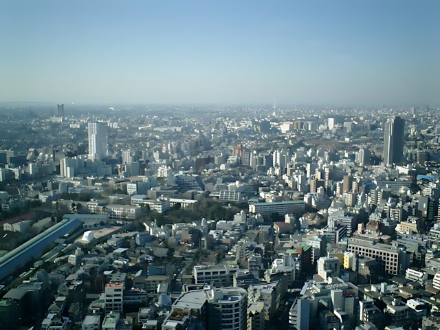 Tokyo's Urban Metropolis from High Above