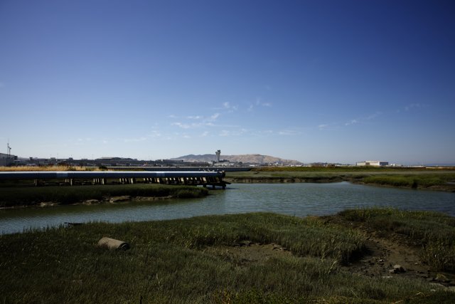 Serenity at the Bayfront Park: Bridge over Marsh