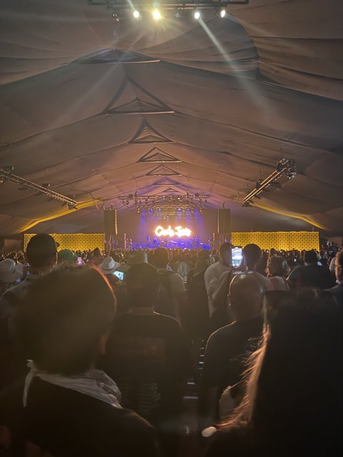Sonic Vibes at Sunset