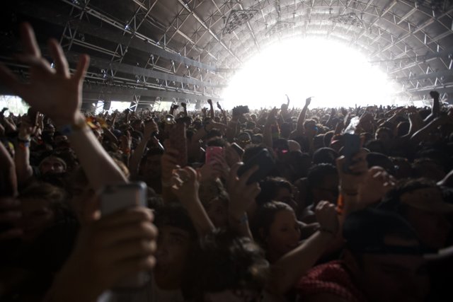 Crowd Goes Wild Caption: Actor Wes Bentley joins the energetic crowd at Coachella 2017, with hands in the air and phones flashing for a memorable concert experience.