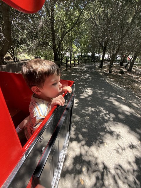 A Joyful Ride Through Nature