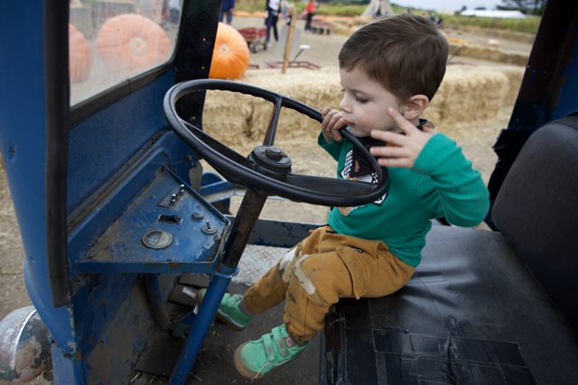 Little Driver's Day Out