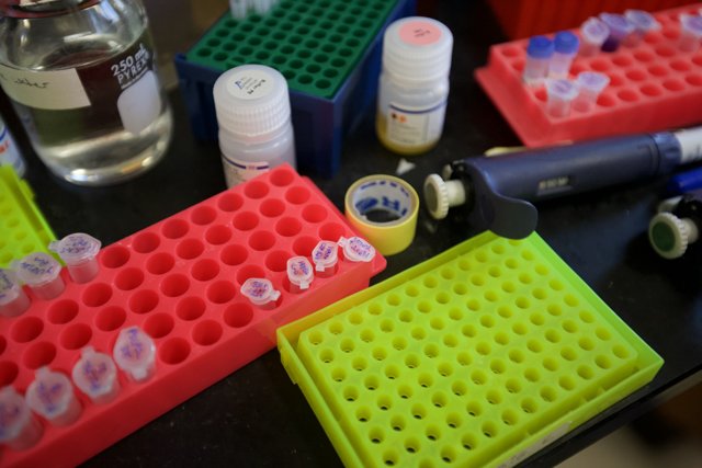 Laboratory Table with Assorted Test Tubes
