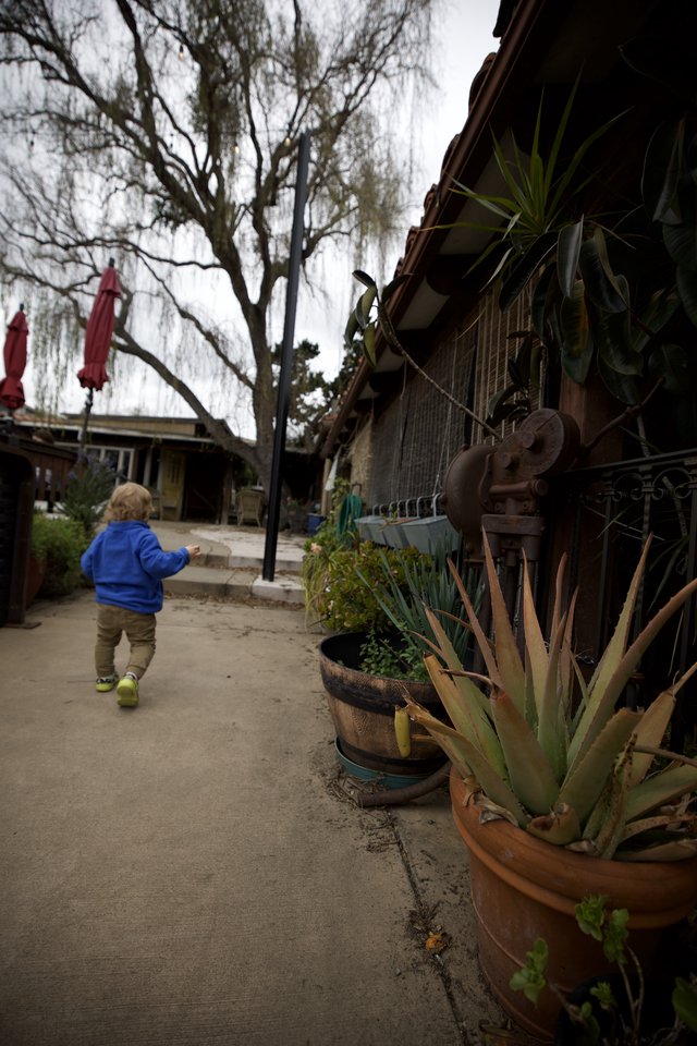 Child Exploring Rustic Courtyard Path with Succulents