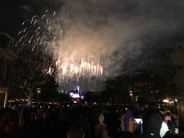 Disneyland Fireworks Spectacle