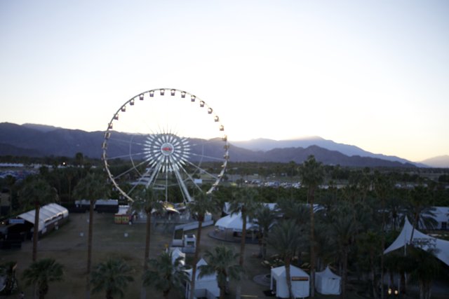 Ferris Wheel Fun at Coachella