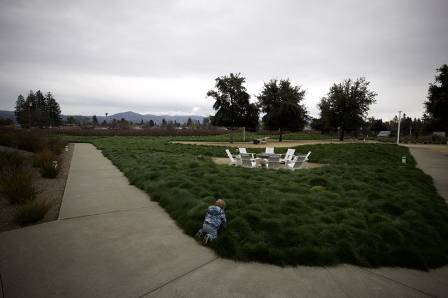 Child Exploring Grassy Hillside at Community Park