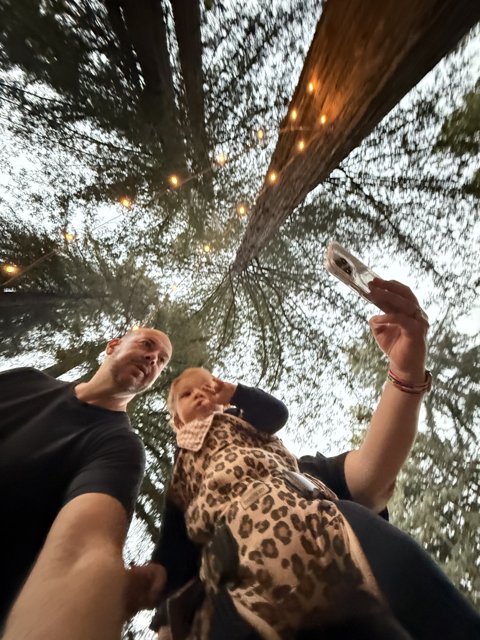 Captured Moments Under the Redwood Canopy