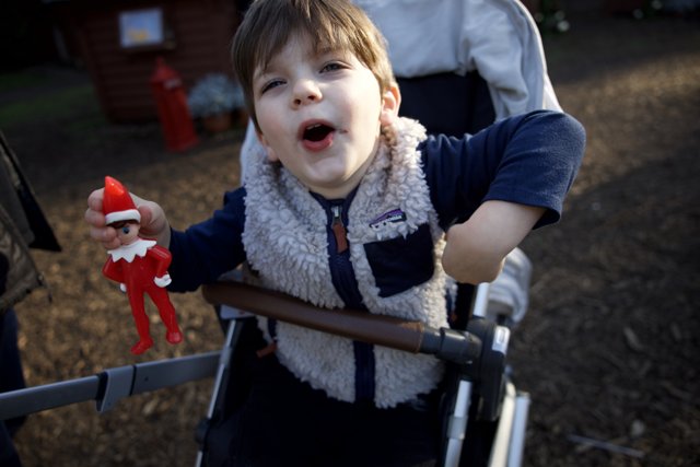 Joyful Moments at Thistlewyck