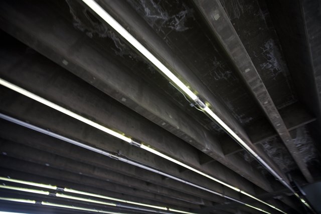 Illuminated Architecture Beneath the Freeway