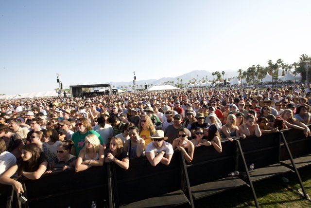 Coachella 2008: The Ultimate Music Fest Experience