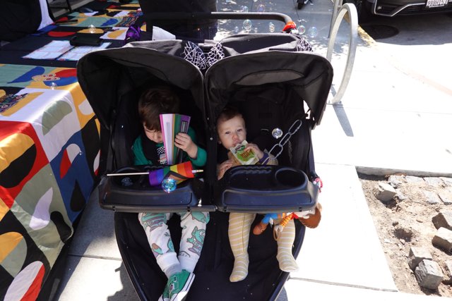 Double Delight in the Stroller