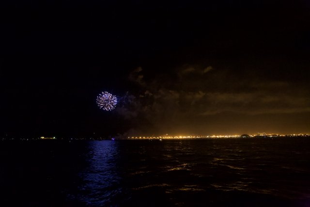 Spectacular Fireworks Lighting Up the Night Sky