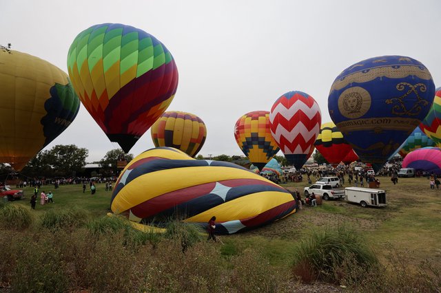 Colorful Hot Air Balloons Fill Festival Grounds at Dawn