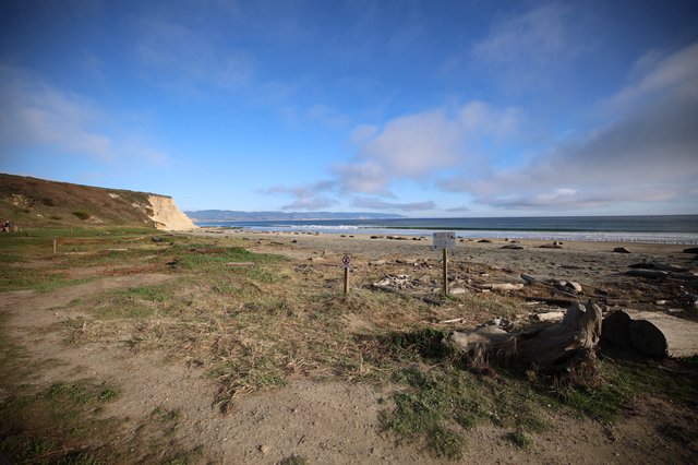 Coastal Landscape at Drakes Beach with Elephant Seals
