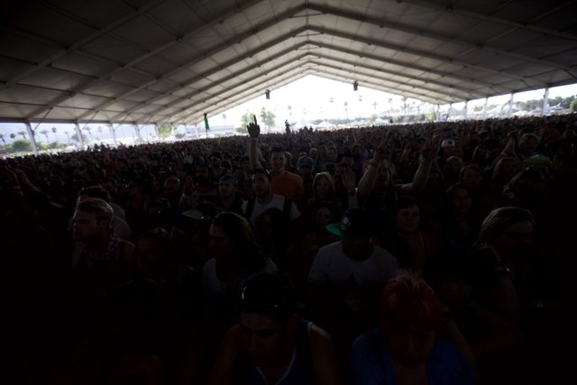 Concert Crowd goes Crazy