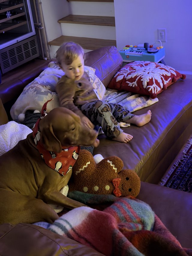 Cozy Movie Night with Dog and Child