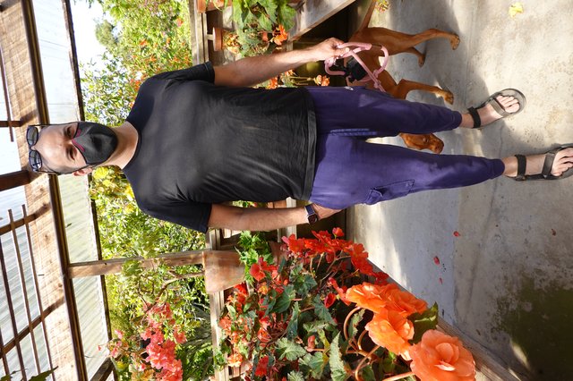Man with Dog in Greenhouse Garden