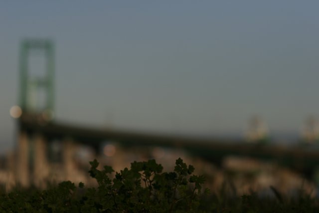 Blurry Bridge in the Urban Metropolis