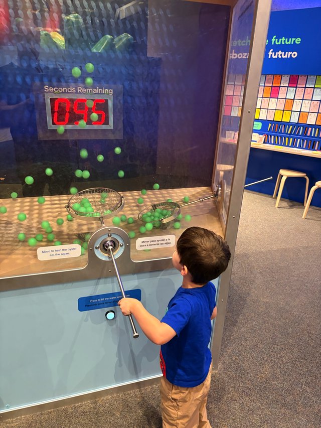 Child Interacting with Museum Science Exhibit Timer Challenge