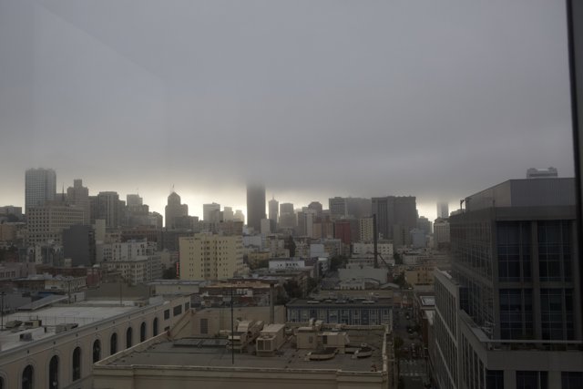 The Misty Metropolis