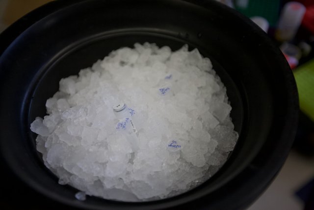 Cool and Crystalline Caption: A bowl of ice glistens in the sunlight, awaiting the perfect seasoning.