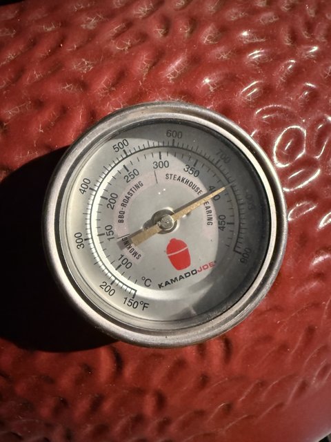 Grilling Precision