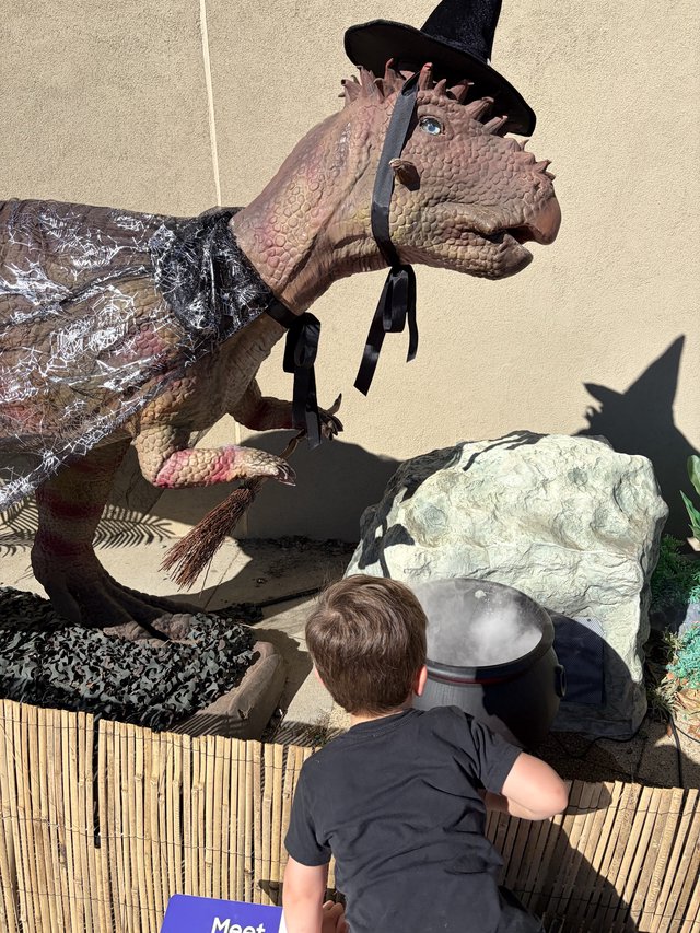 Child's Playful Moment with Dinosaur Witch Display