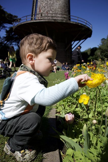 Innocence Amidst the Petals: A Young Boy's Adventure in Nature.