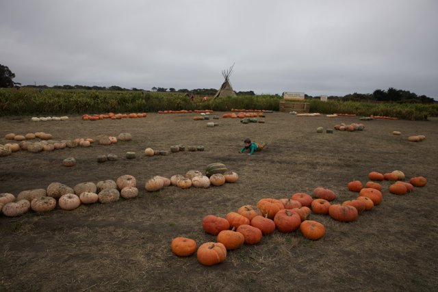 Harvest Memories