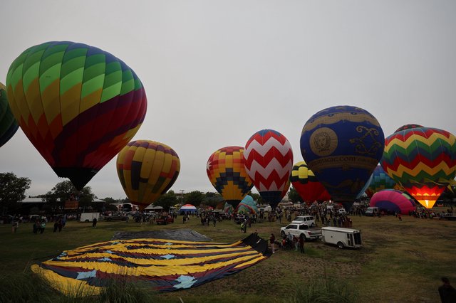 Colorful Hot Air Balloons Rise at Dawn Festival