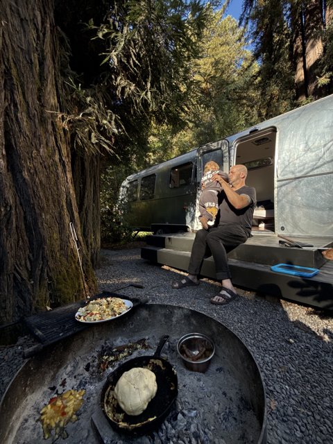 Morning Serenity in the Woods