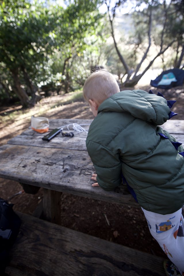 Little Explorer at Campsite Picnic Table