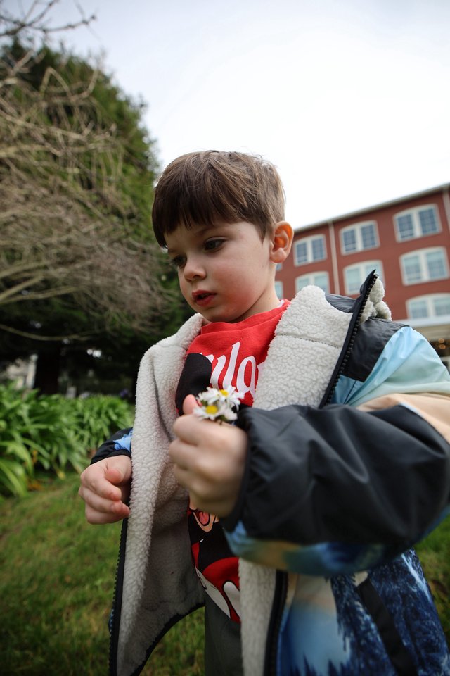 Young Child Offering Daisy Flowers at Urban Park