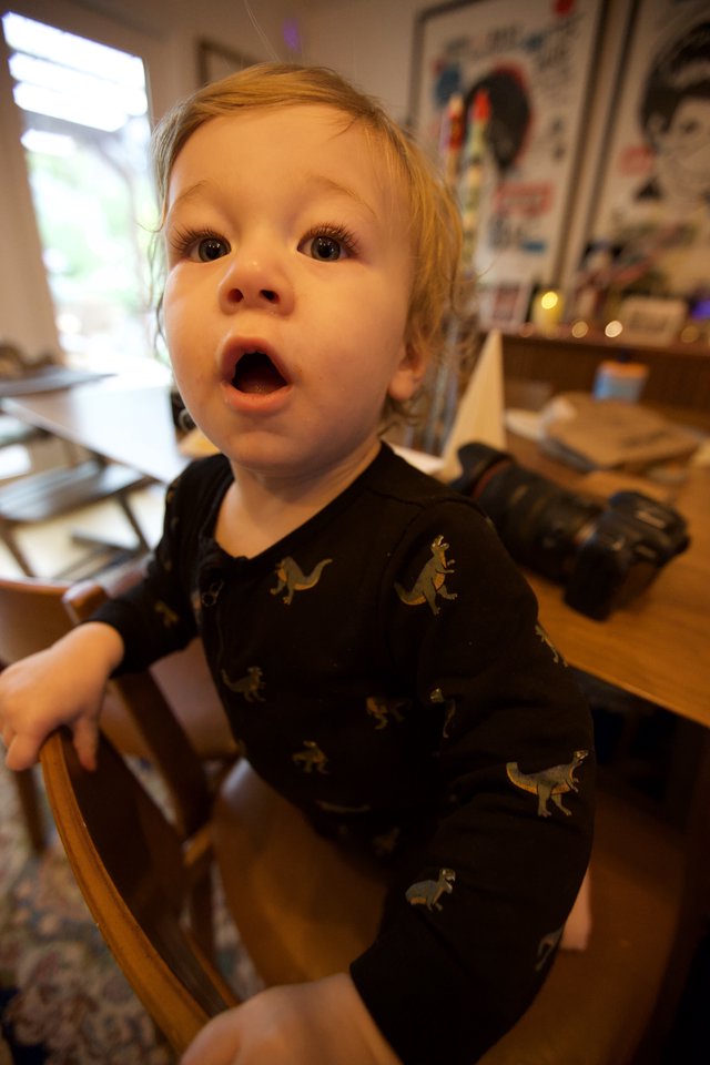 Toddler in Dinosaur Pajamas Shows Surprise Expression