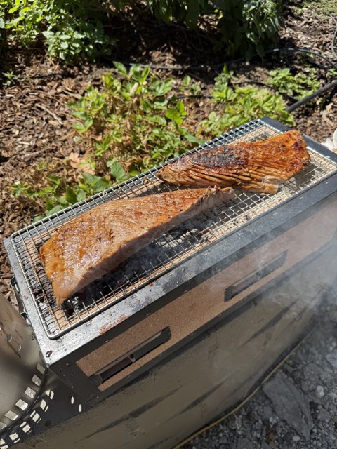 Smoky Summer Grills