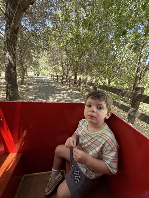 Train Ride Through the Woodland